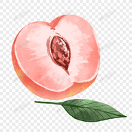 WWW,yyy81·COM网站APPAPP应用